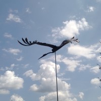 Cap bok